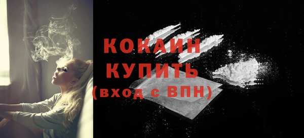 прущий лед Алзамай